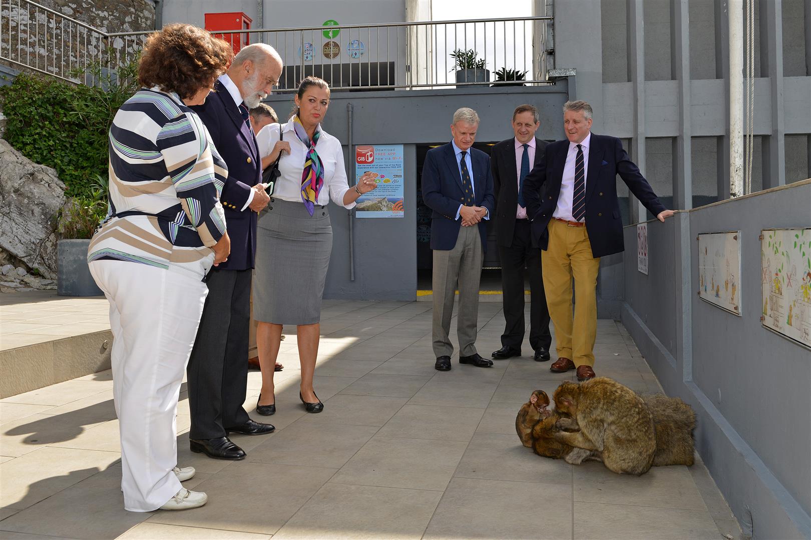 HRH Meets the Barbary Macaques.jpg